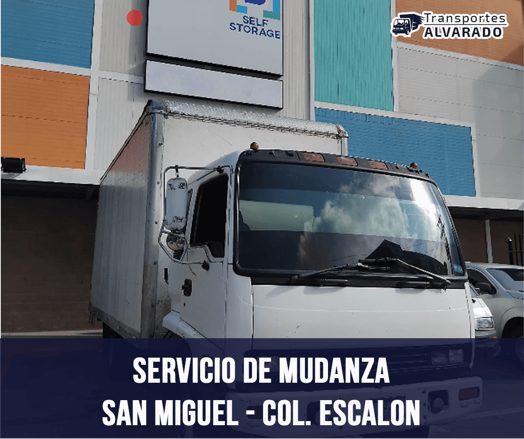 Caso de Éxito: Transporte a Mister Bodegas Escalón desde San Miguel | 18 Pies